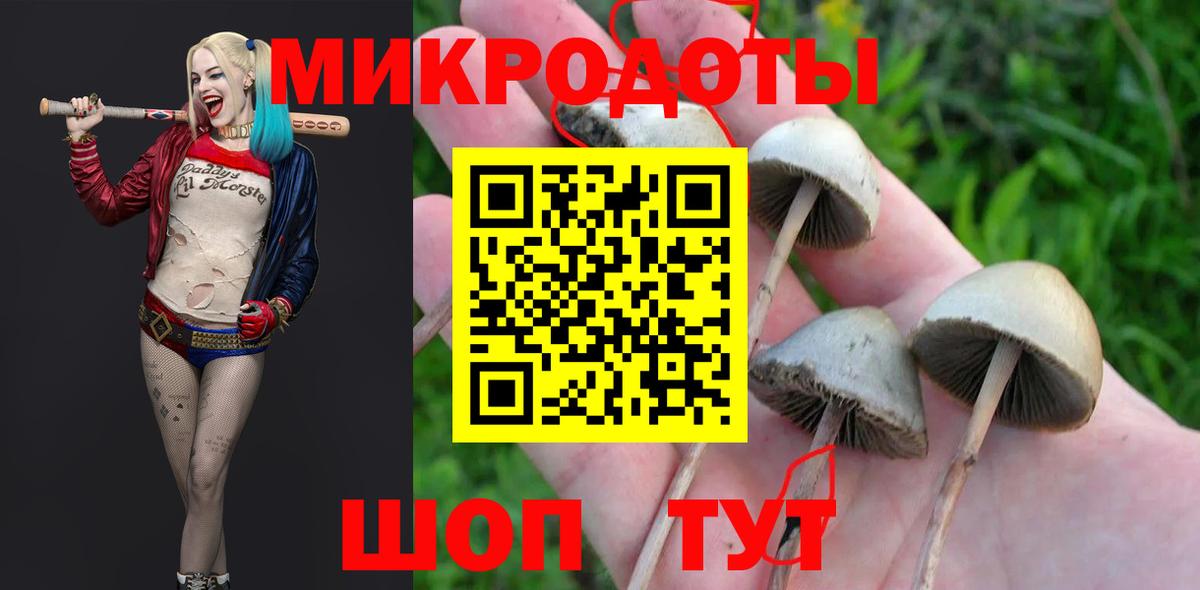 Великие Луки  Галлюциногенные грибы Magic Shrooms  Вход с VPN 